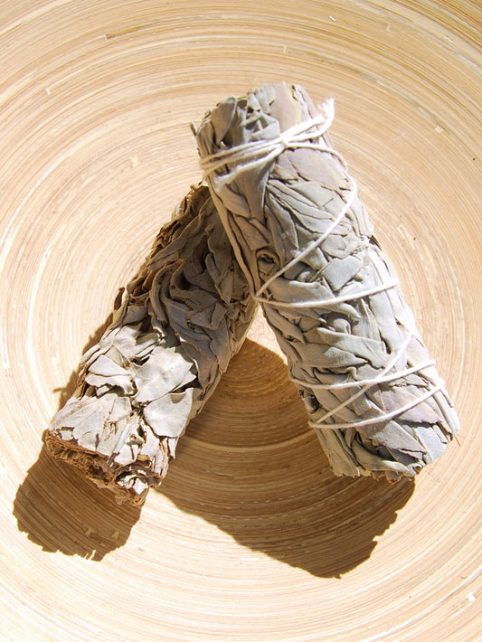 Salvia Blanca