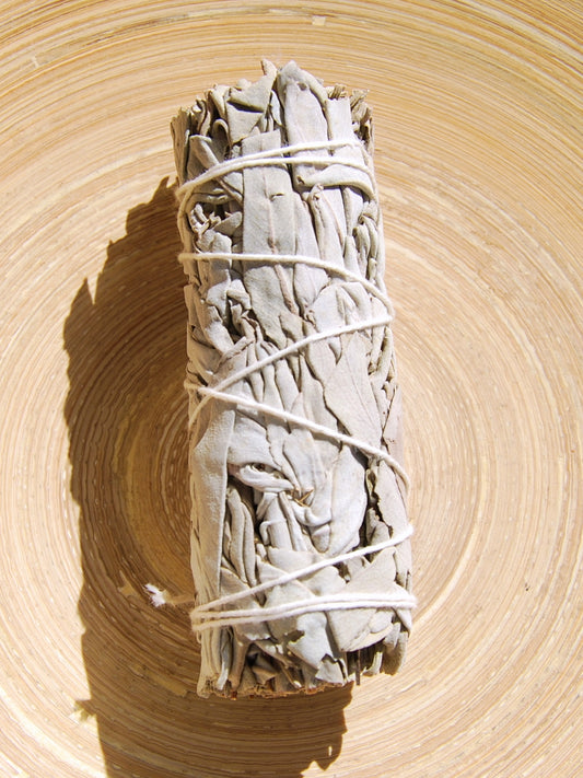 Salvia Blanca